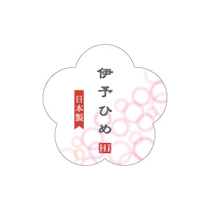 コレクションイメージ画像