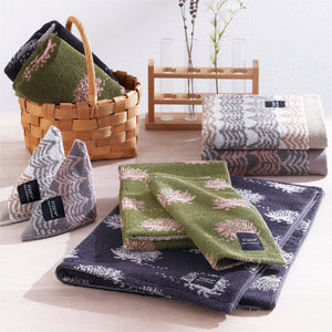 brand-collection